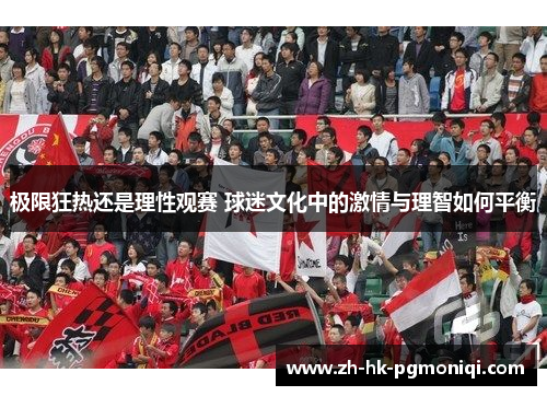 极限狂热还是理性观赛 球迷文化中的激情与理智如何平衡 极限狂热还是理性观赛 球迷文化中的激情与理智如何平衡