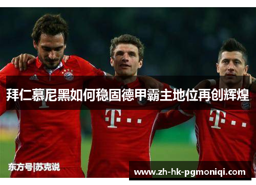 拜仁慕尼黑如何稳固德甲霸主地位再创辉煌 拜仁慕尼黑如何稳固德甲霸主地位再创辉煌