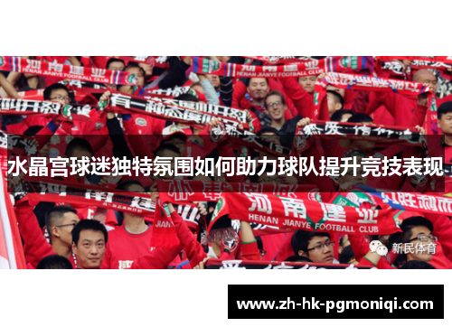 水晶宫球迷独特氛围如何助力球队提升竞技表现